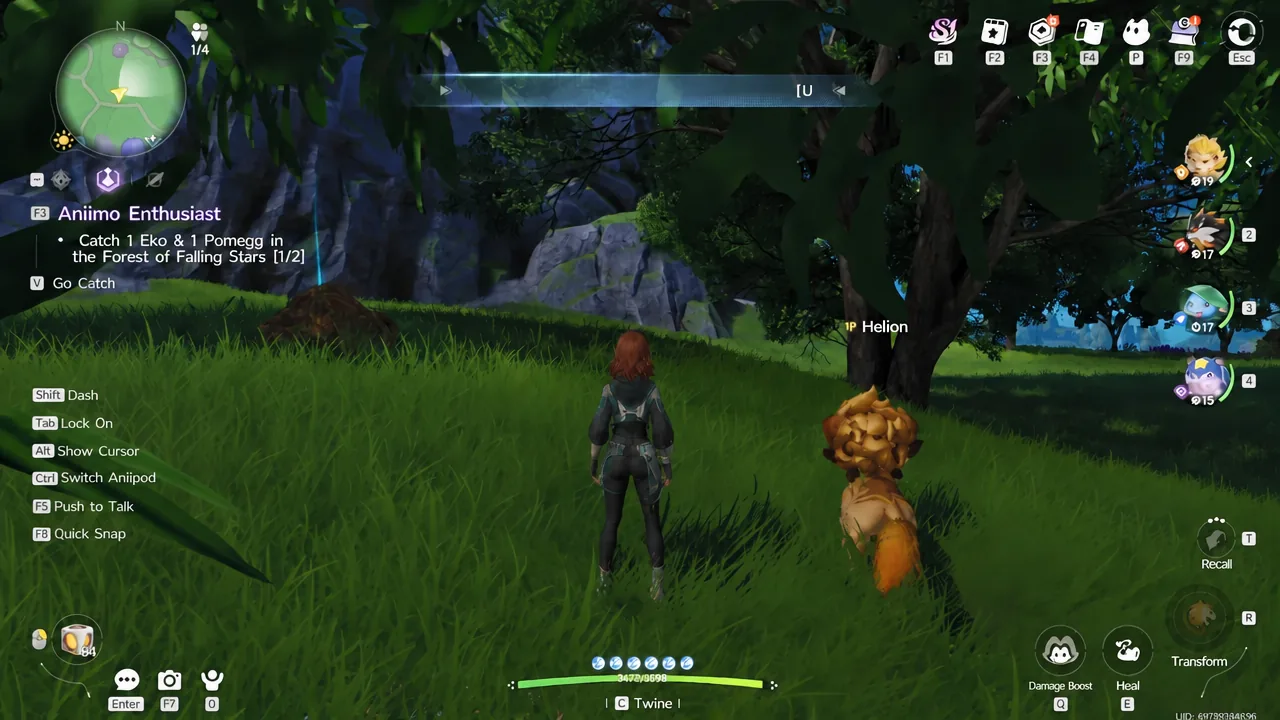 Gameplay view with the Aniimo Enthusiast quest showing a V Go Catch prompt in the Forest of Falling Stars