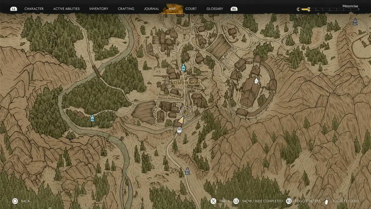 World map screen showing the surrounding region and the player's current position marker