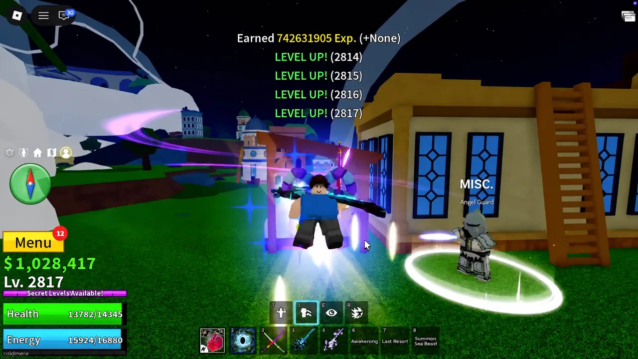 Angel Guard NPC standing in the Skylands village as the player hovers nearby