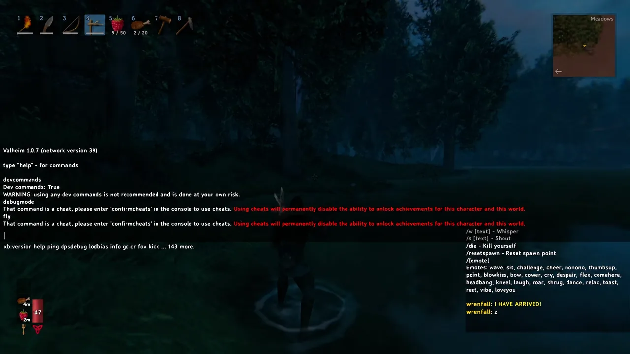 Valheim console output listing available developer commands after cheats were enabled