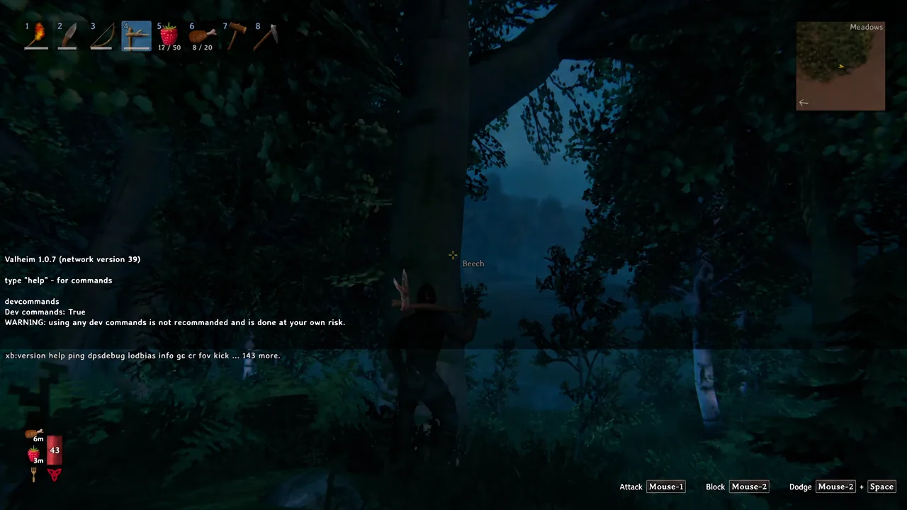 Valheim gameplay in the Meadows with the developer console open and dev commands switched on