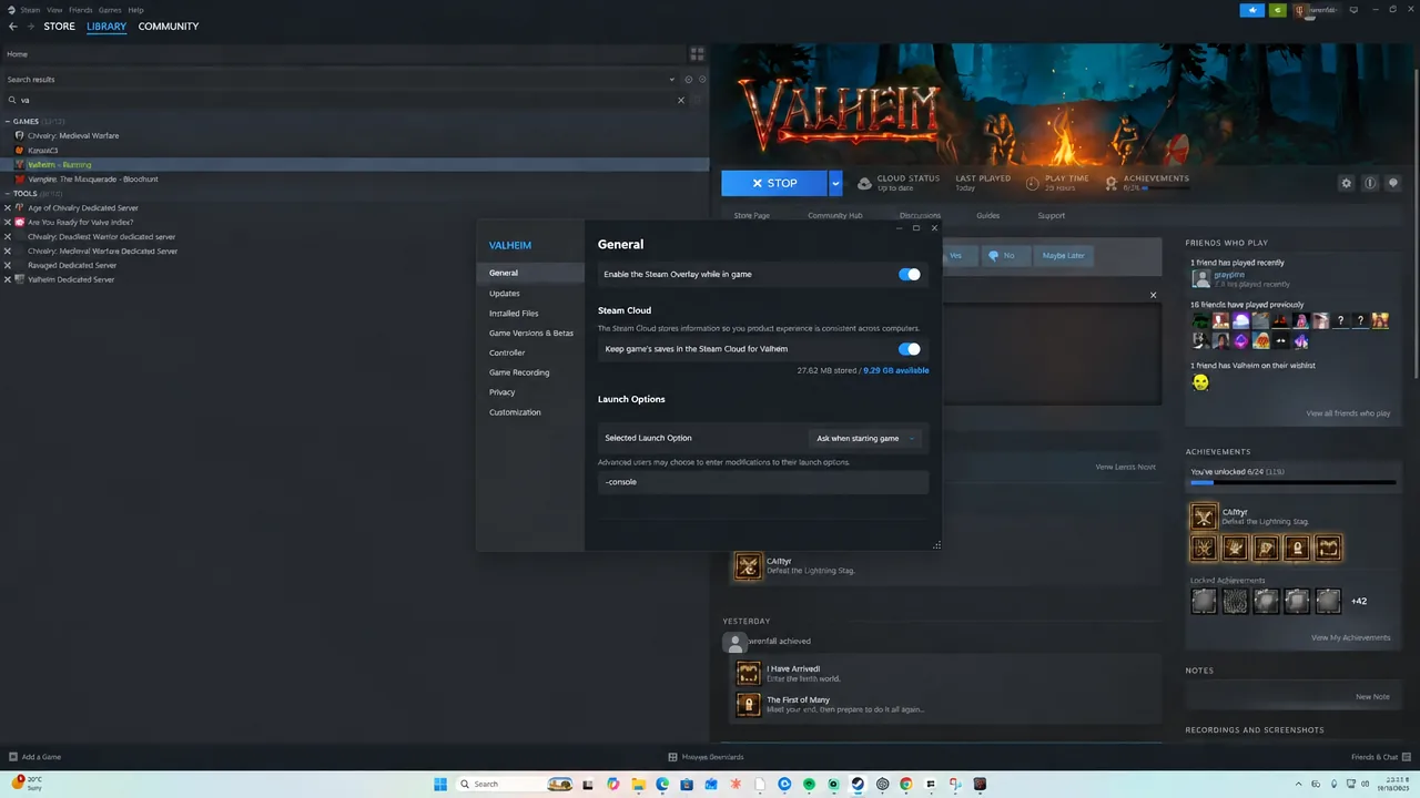 Valheim Properties window with -console typed into the Launch Options field