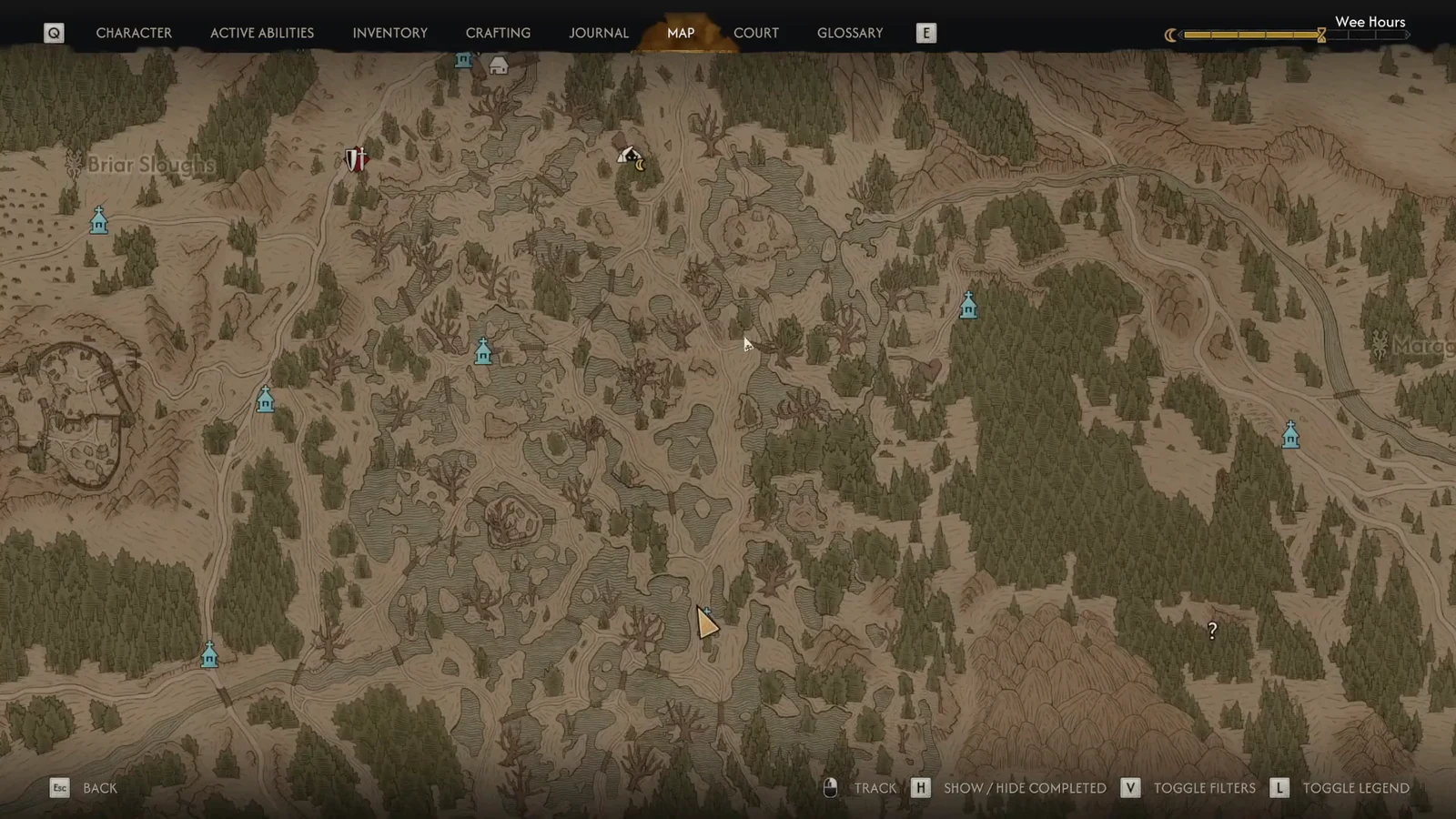 World map open with the cursor over the swamp region and fast-travel shrine markers visible