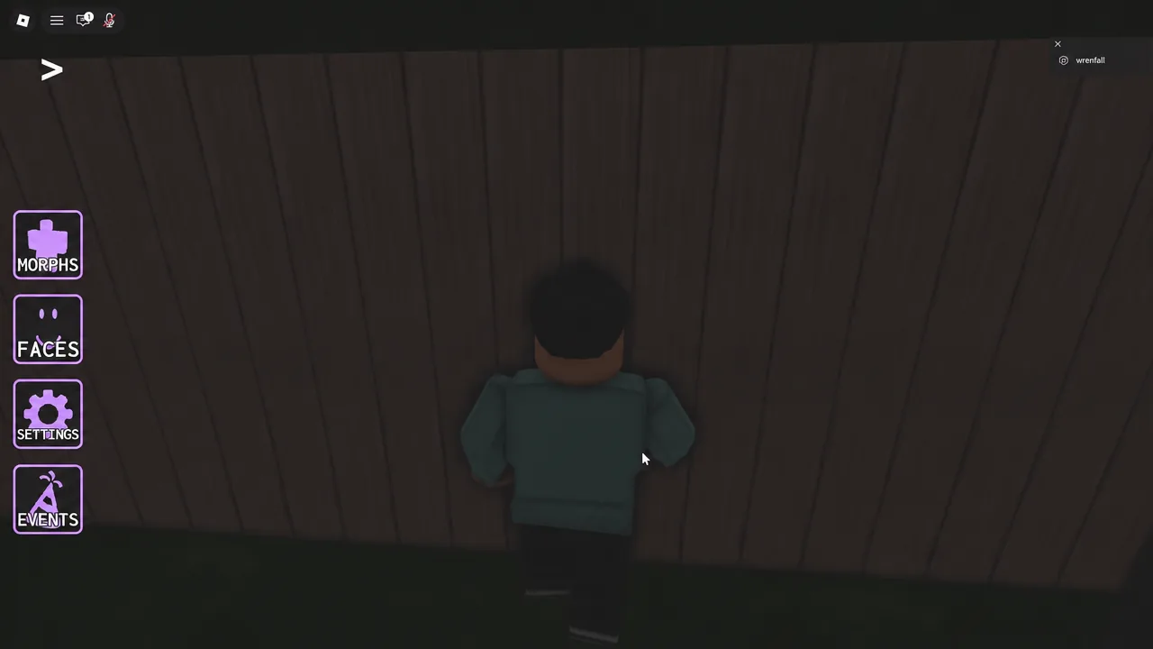 Avatar standing against a wooden wall with the morph and faces menu buttons visible