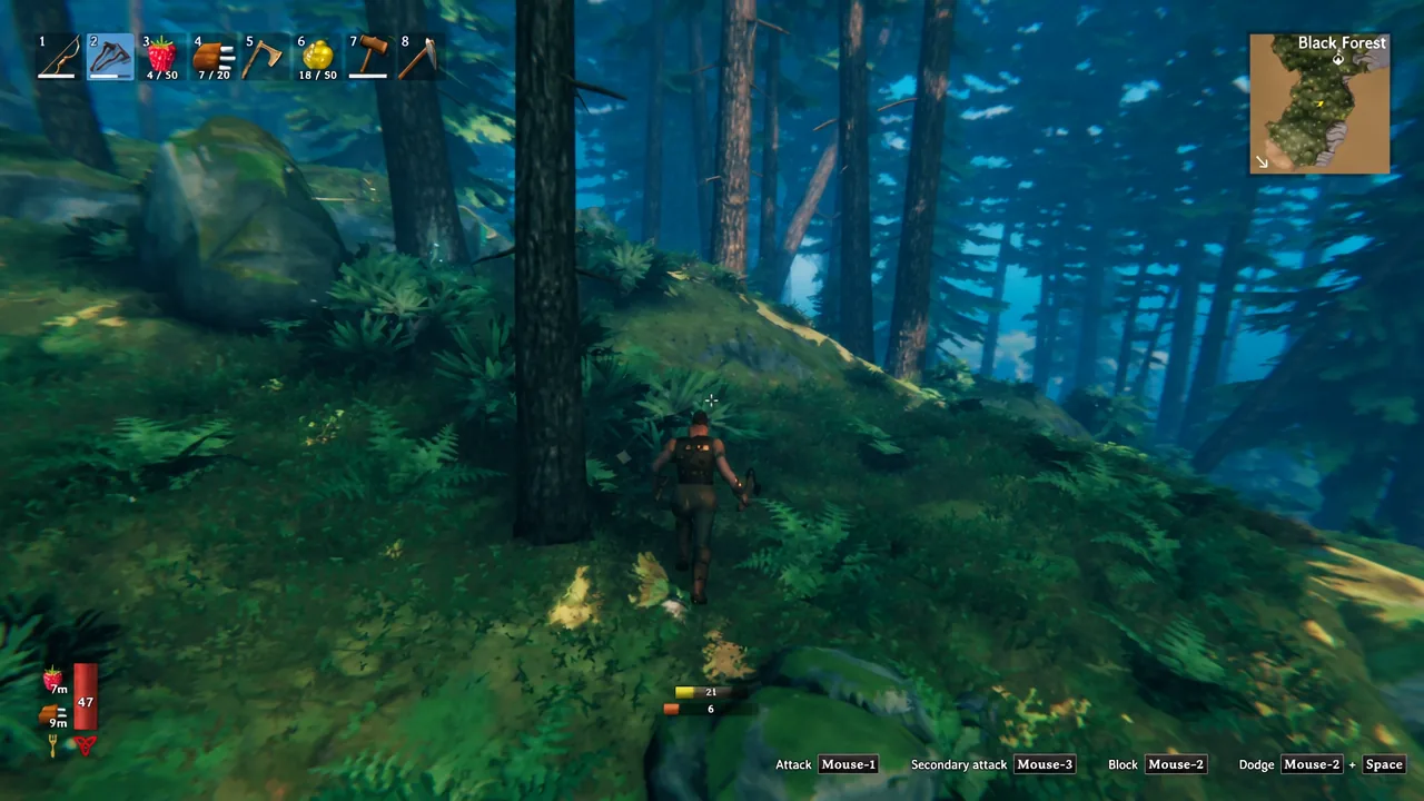 Black Forest clearing with Greydwarves approaching during a nest farming run