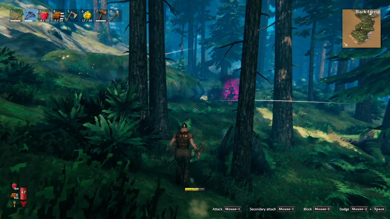 Running through the Black Forest with the bow equipped in hotbar slot two