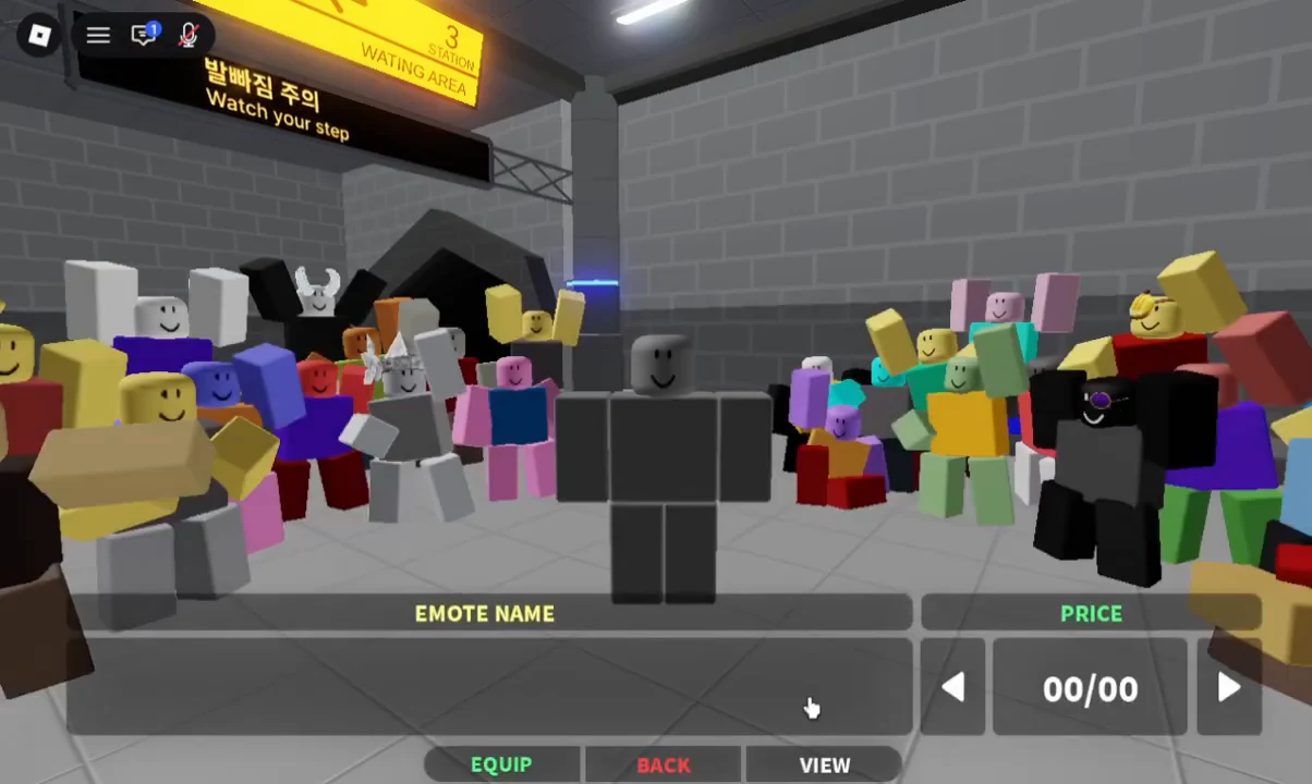 Emote selection screen showing 00/00 owned with Equip, Back, and View buttons