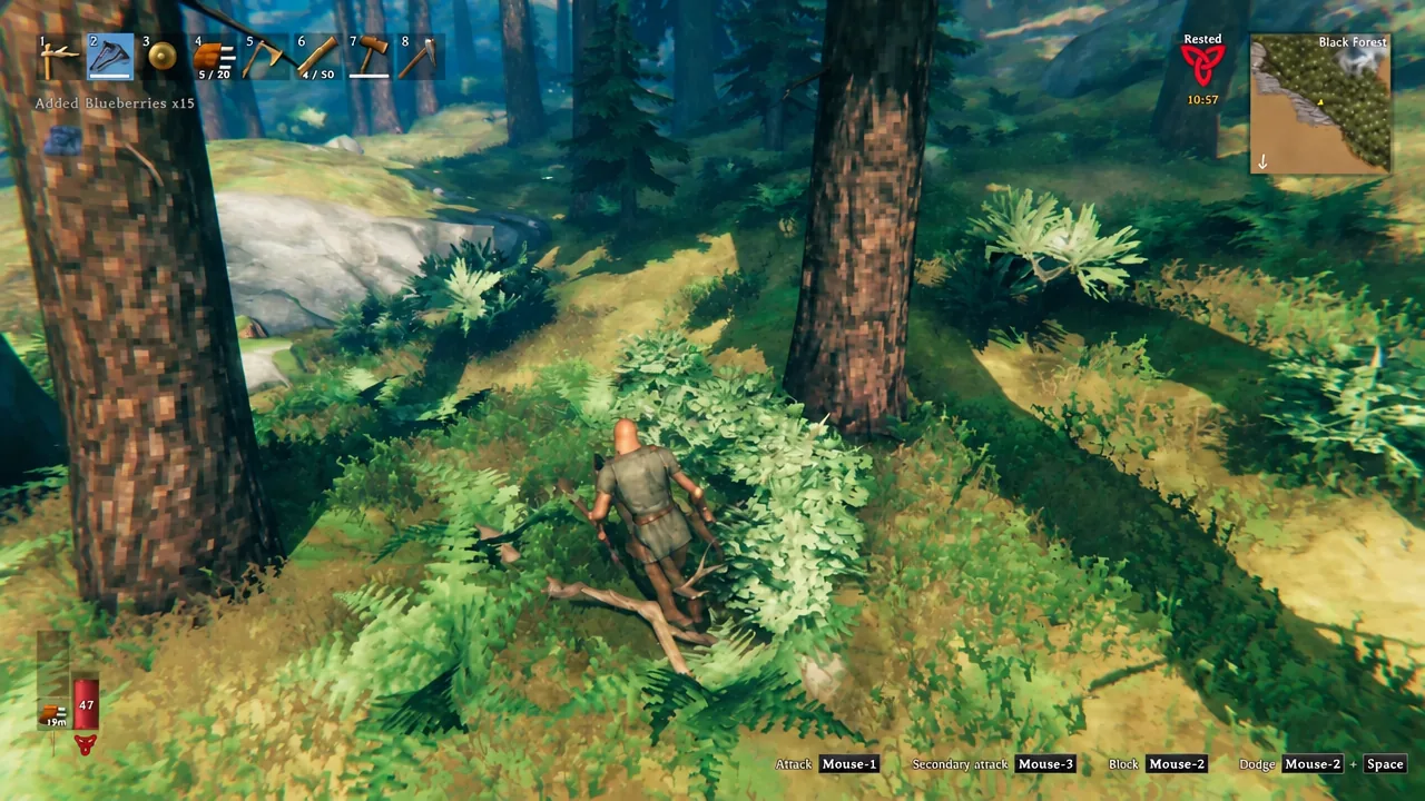 Player standing among Black Forest bushes after harvesting, with the hotbar visible