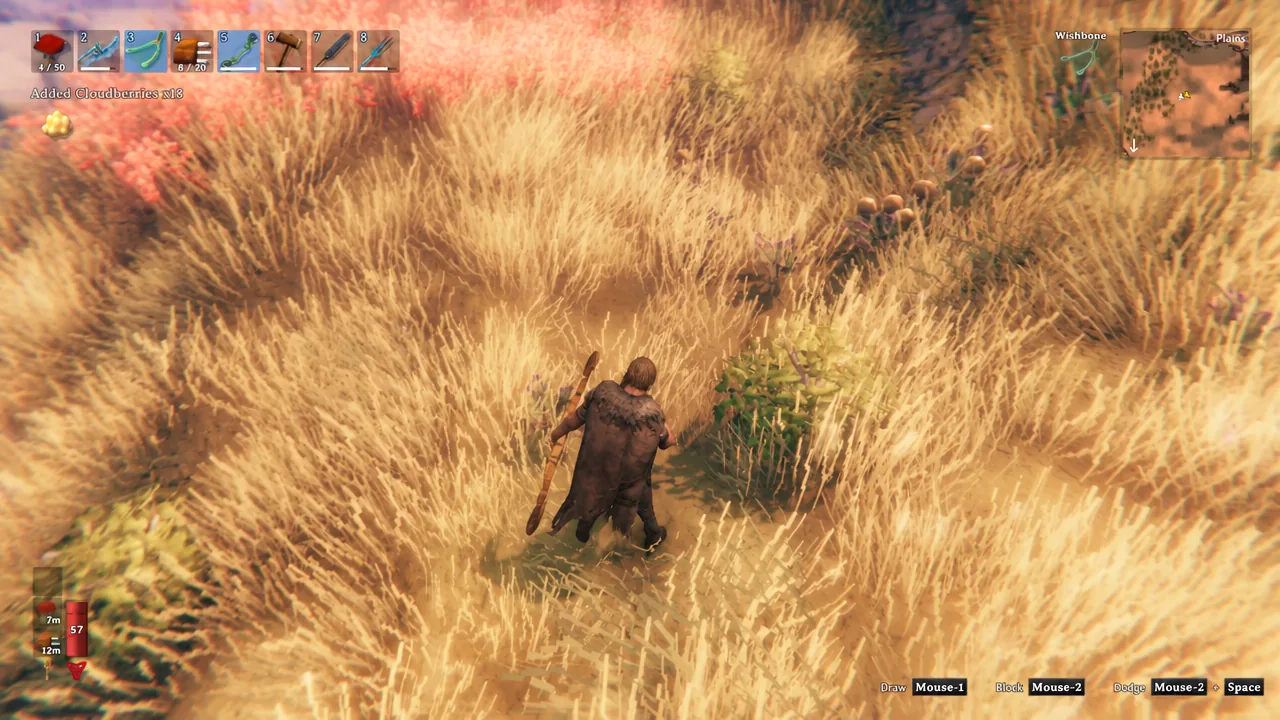 Pickup notification reading Added Cloudberries x13 while a player picks berries from Plains grass