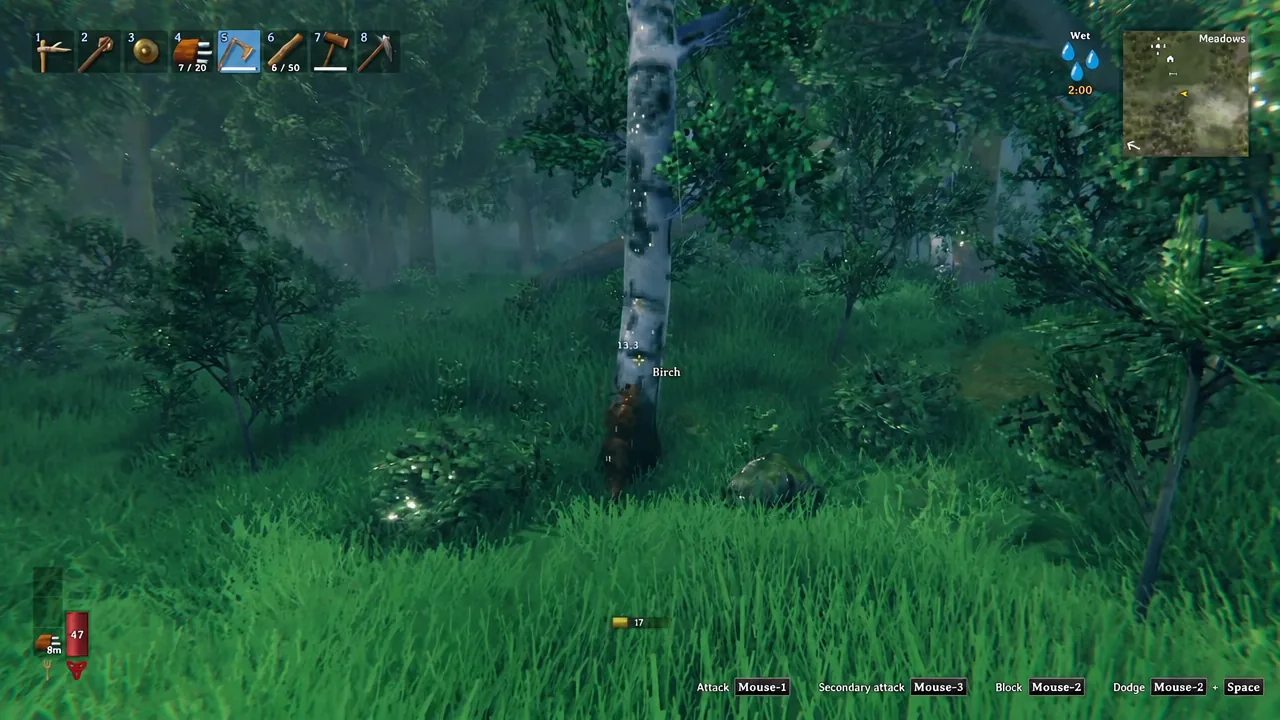 Player swinging an axe at a highlighted birch trunk during a chopping animation