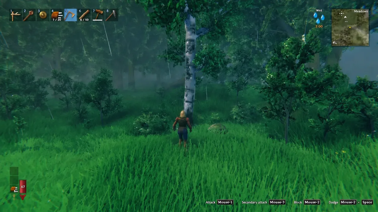 White-barked birch tree standing in the Meadows biome, seen from the player's view