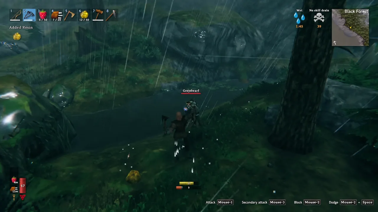 A Greydwarf targeted mid-fight in the Black Forest, with damage numbers on screen