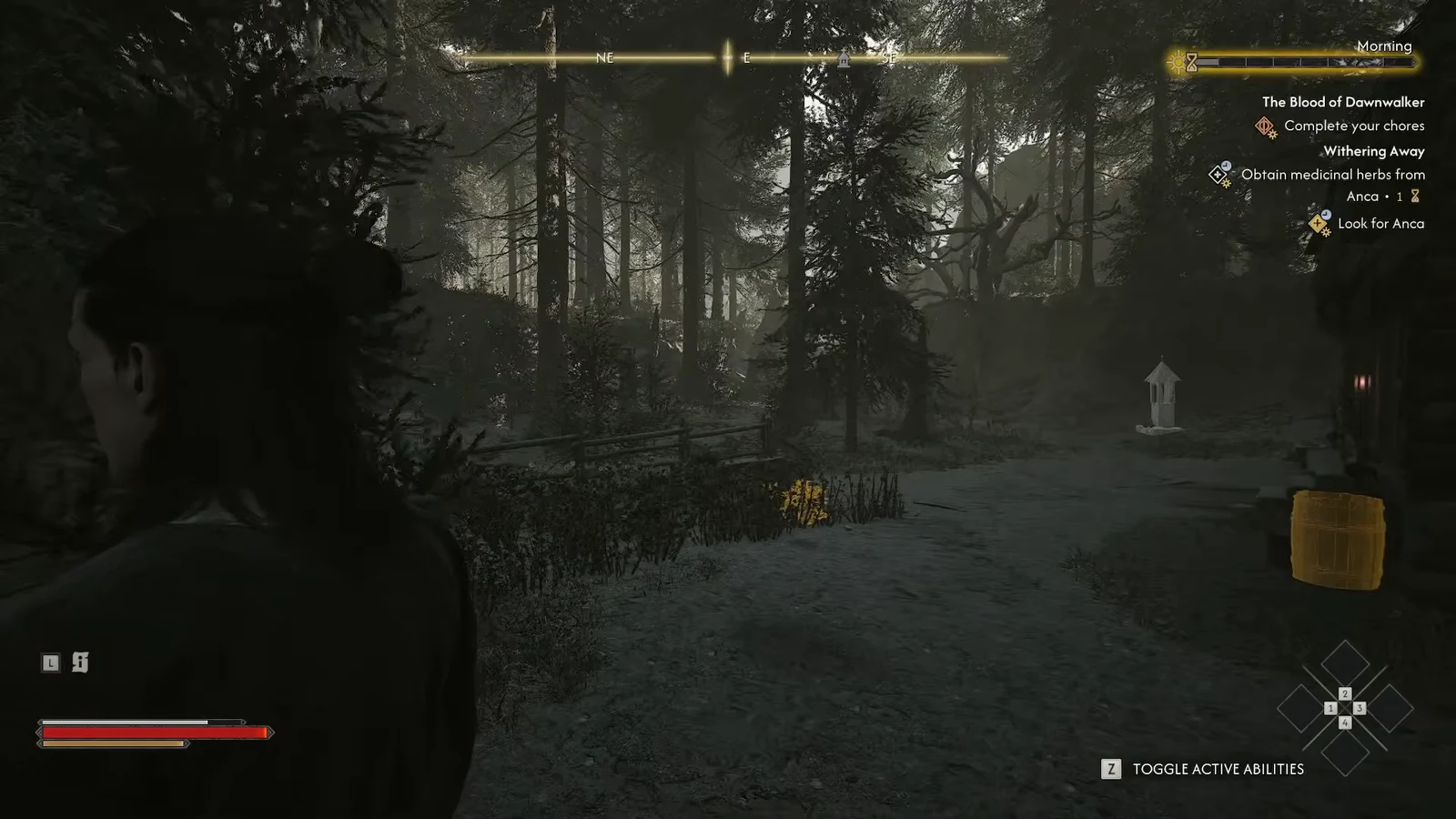 Forest area outside the hut with the objective updated to look for Anca