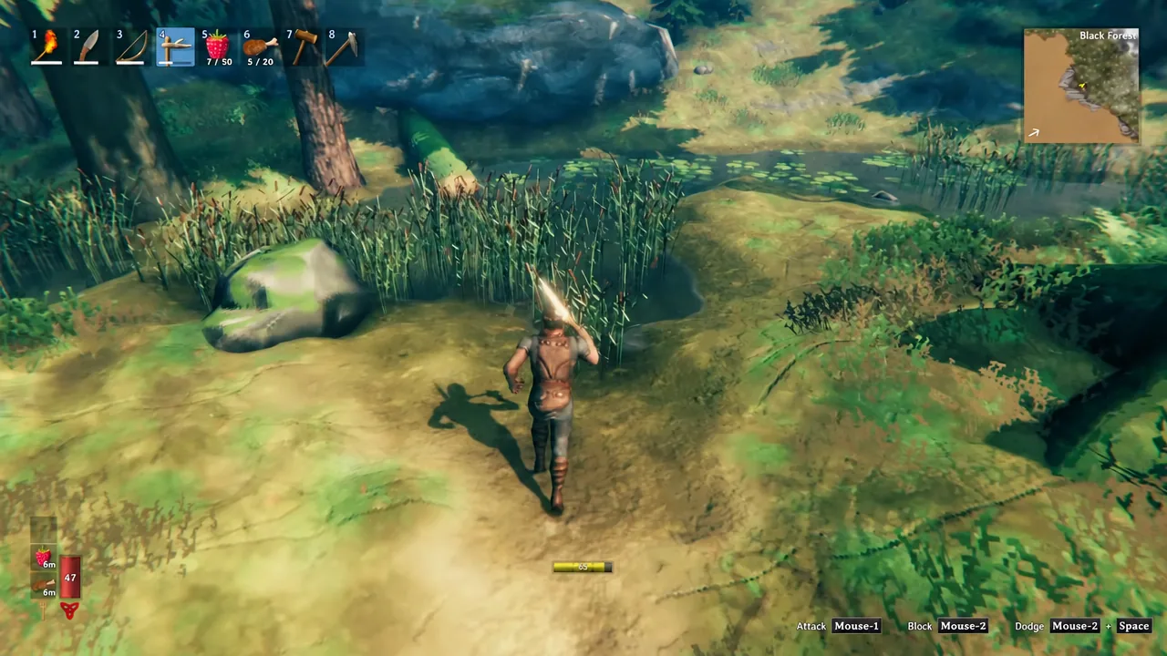 Valheim player moving through the Black Forest with a spear selected in hotbar slot four