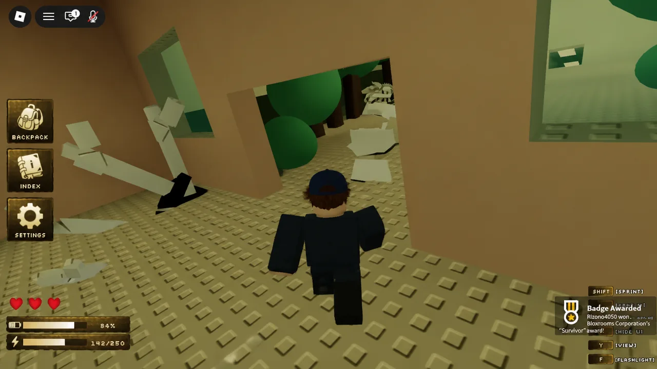 Player character walking through a cluttered, debris-filled Bloxrooms interior