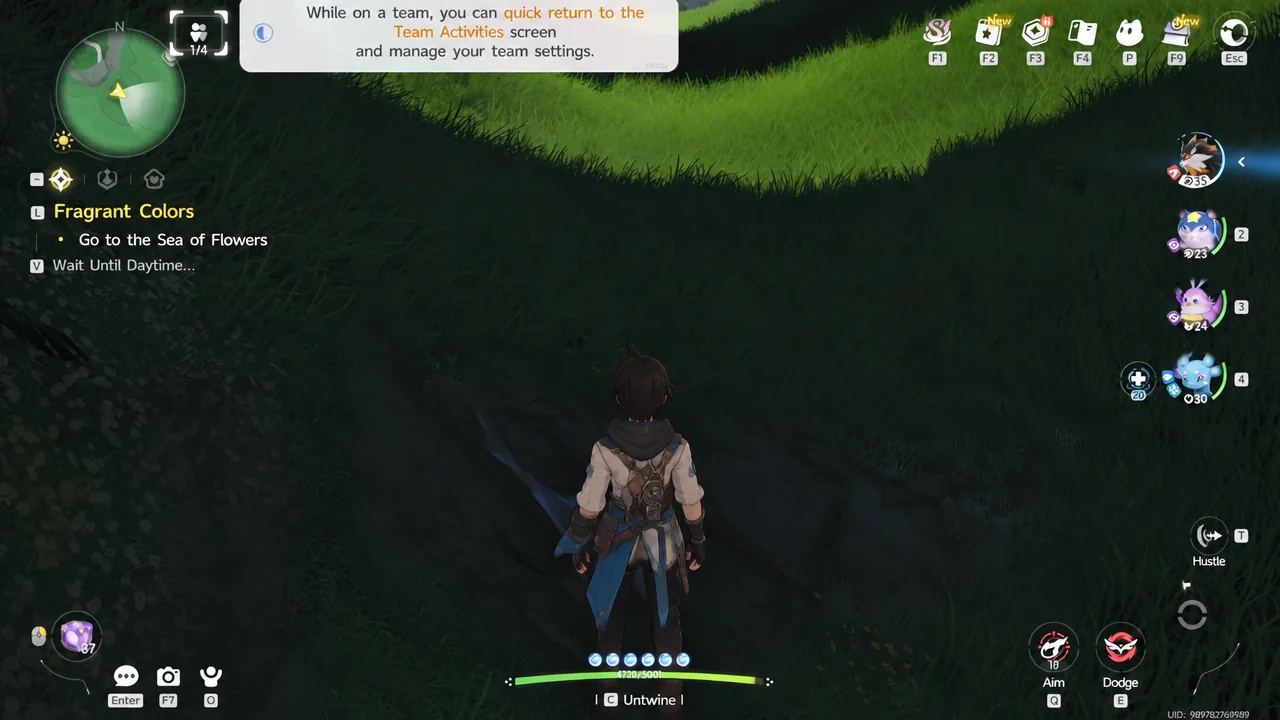 In-game notice pointing to the Team Activities screen for managing team settings