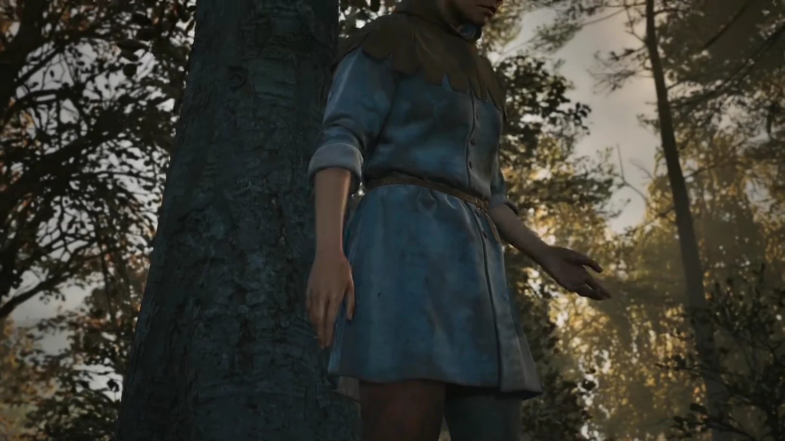 Cutscene playing after Sara is freed at the forest hut