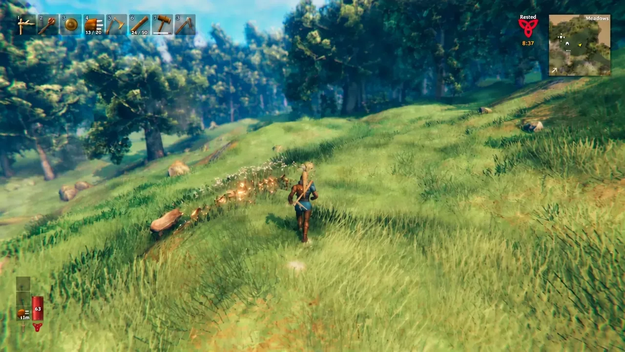 A wild boar spawned in the Meadows charging the player after the spawn boar command