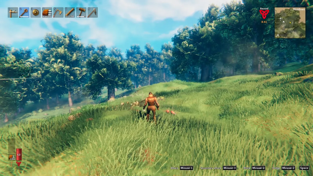 Player in the Meadows with hotbar slot two and its axe highlighted after collecting spawned items