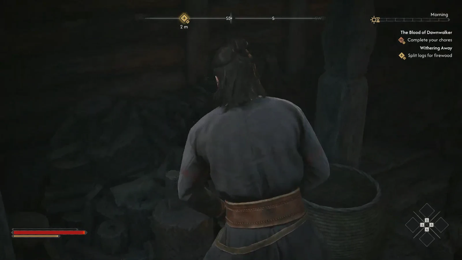 Coen two meters from the Split logs for firewood objective marker