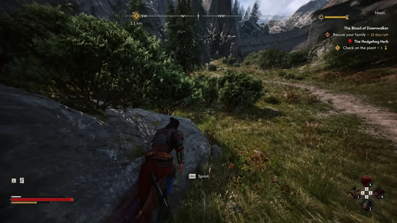 Gameplay view in the wilderness with the LShift Sprint prompt shown on screen