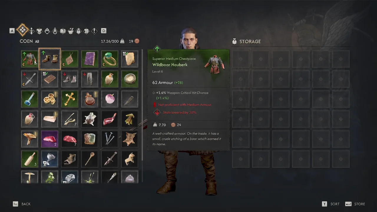 Item details panel for the Wildboar Huberk chestpiece on Coen's inventory screen