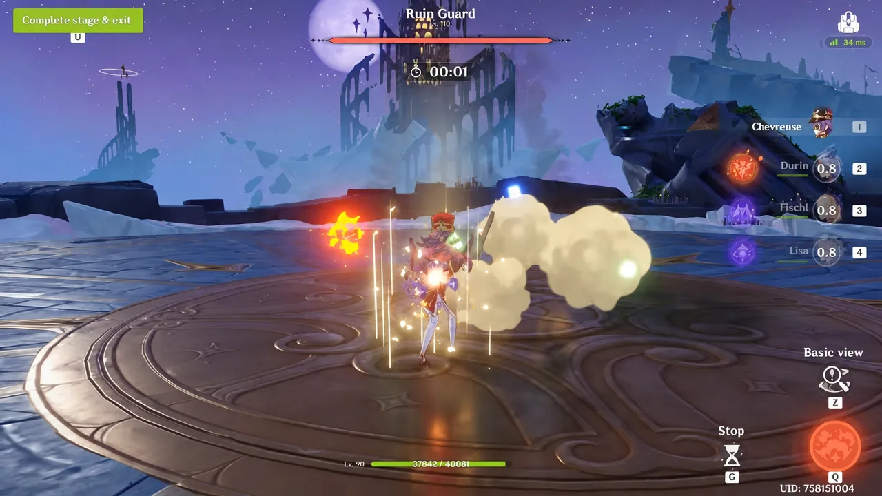 Fighting a level 110 Ruin Guard with the stage timer counting down during a damage test