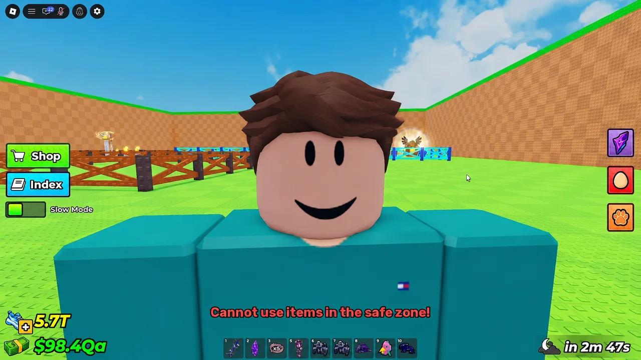 On-screen warning reading Cannot use items in the safe zone while the avatar stands in the arena