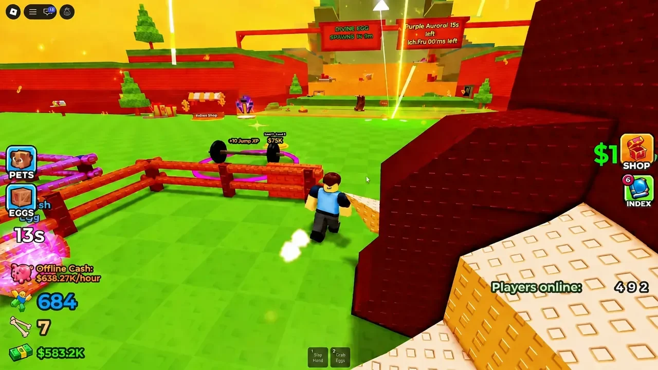 Player avatar sprinting through the fenced pet area toward the central plaza