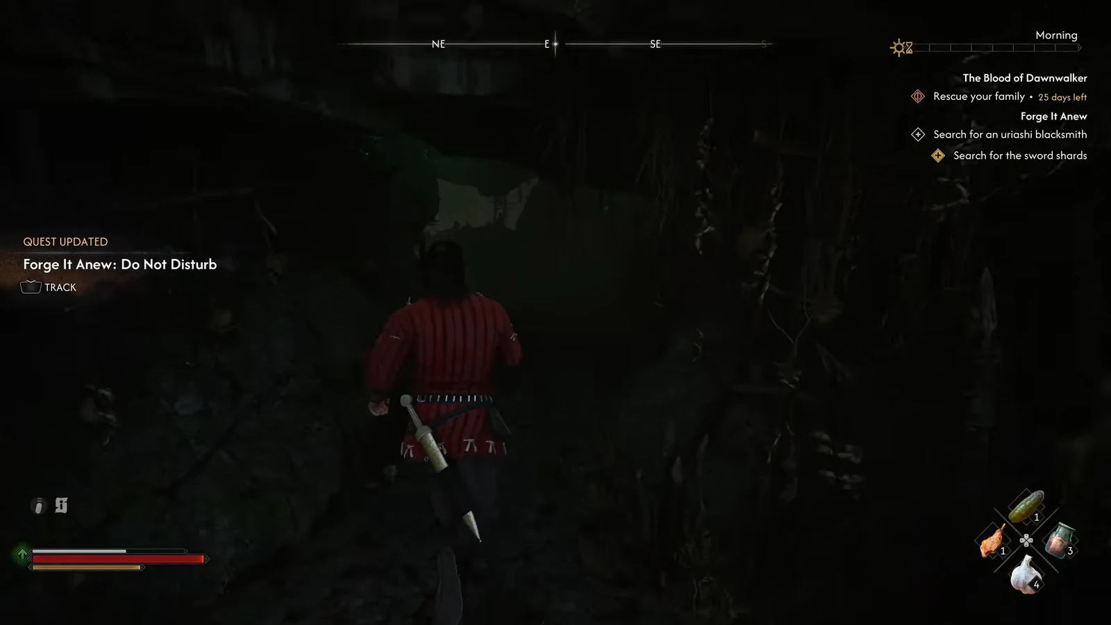 Dark cave interior with the Forge It Anew: Do Not Disturb objective on screen