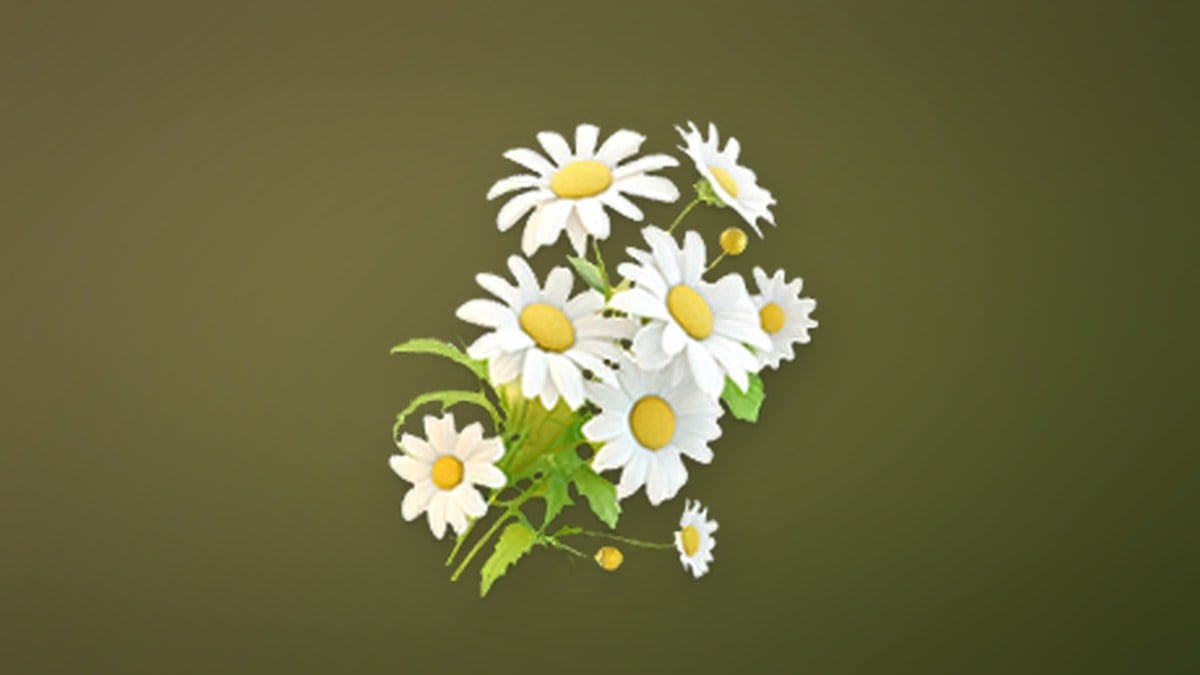 Lunar Daisy