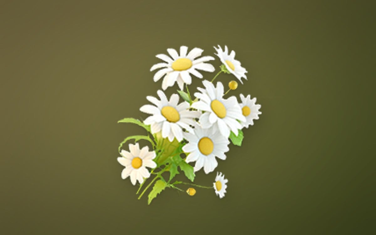 Lunar Daisy