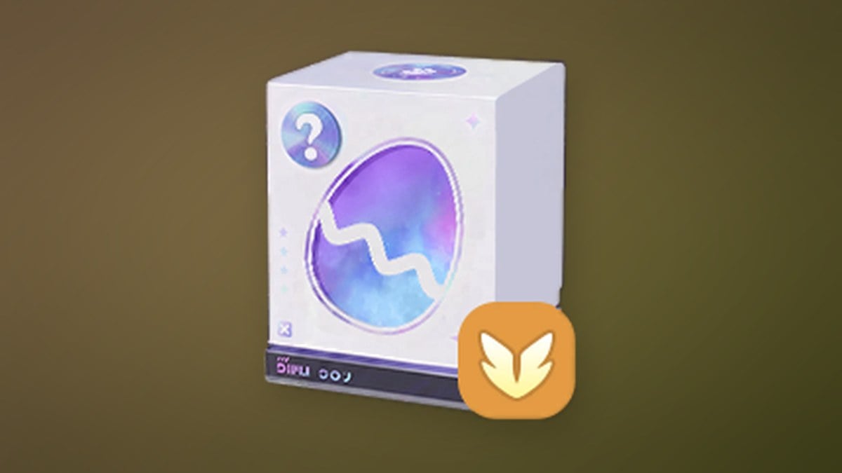 Mystery Egg Box - Support