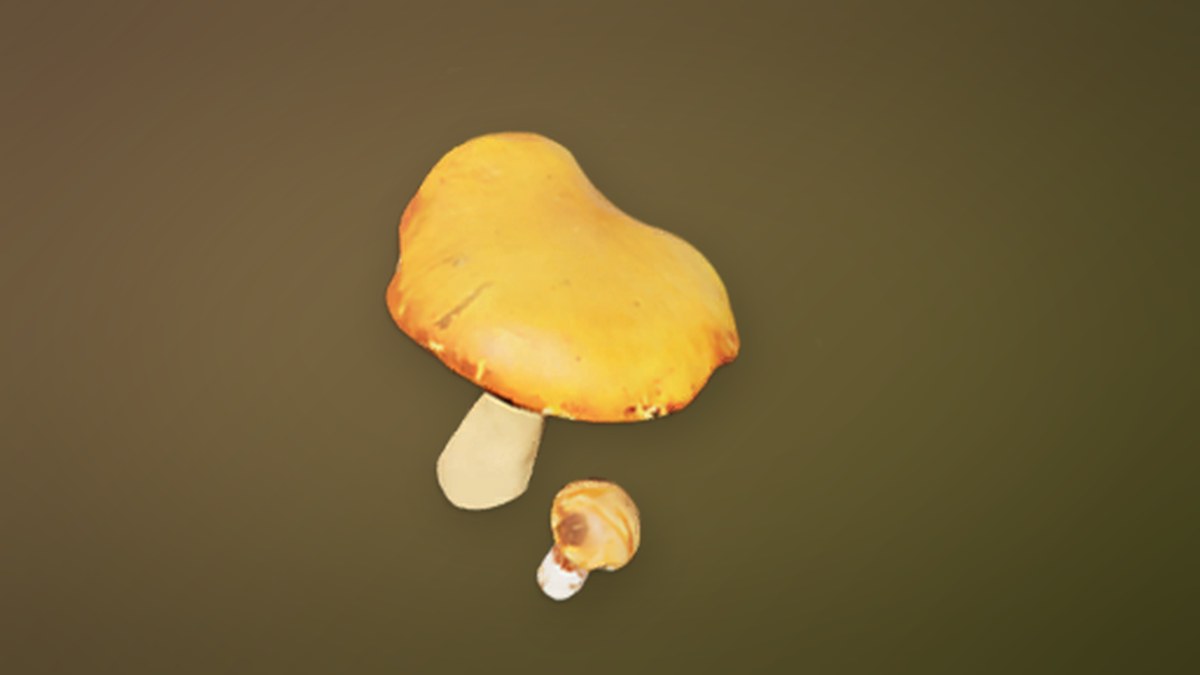 Orange Cap