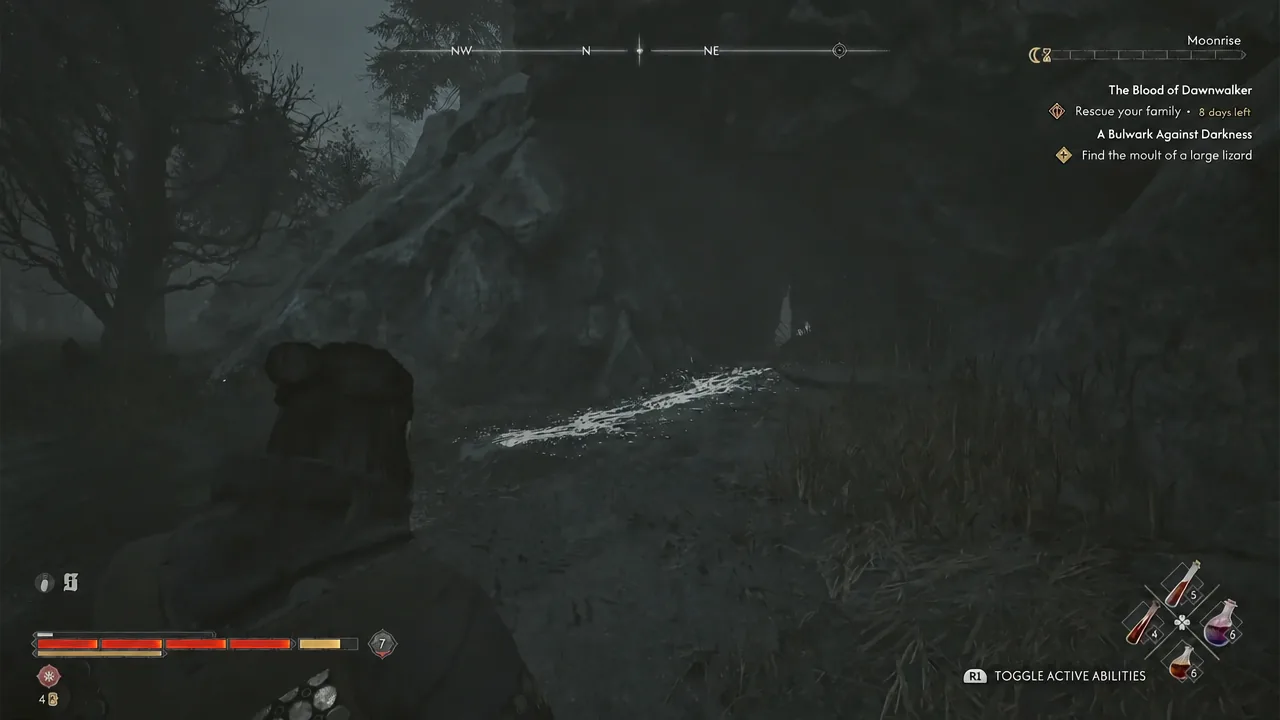 Quest tracker showing the objective to find the moult of a large lizard while crossing the forest