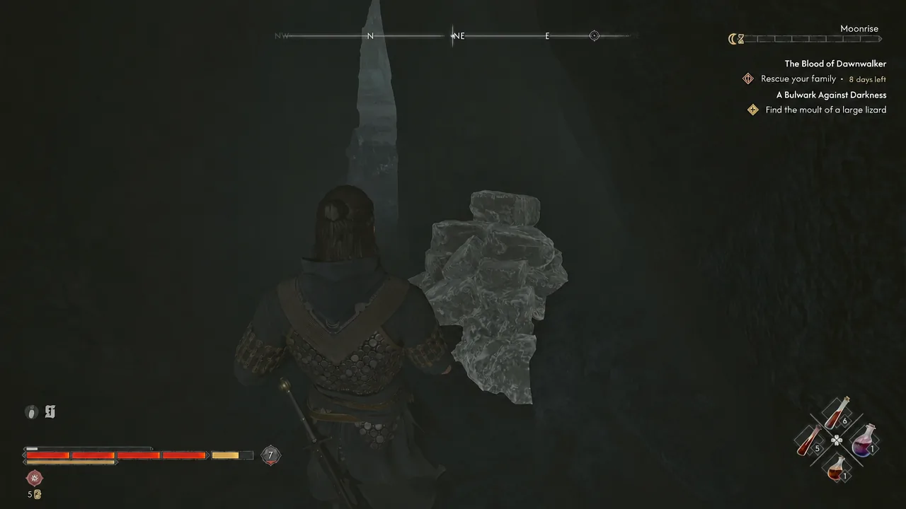 Player standing in front of a pale rock formation inside the cave with quest objectives on screen