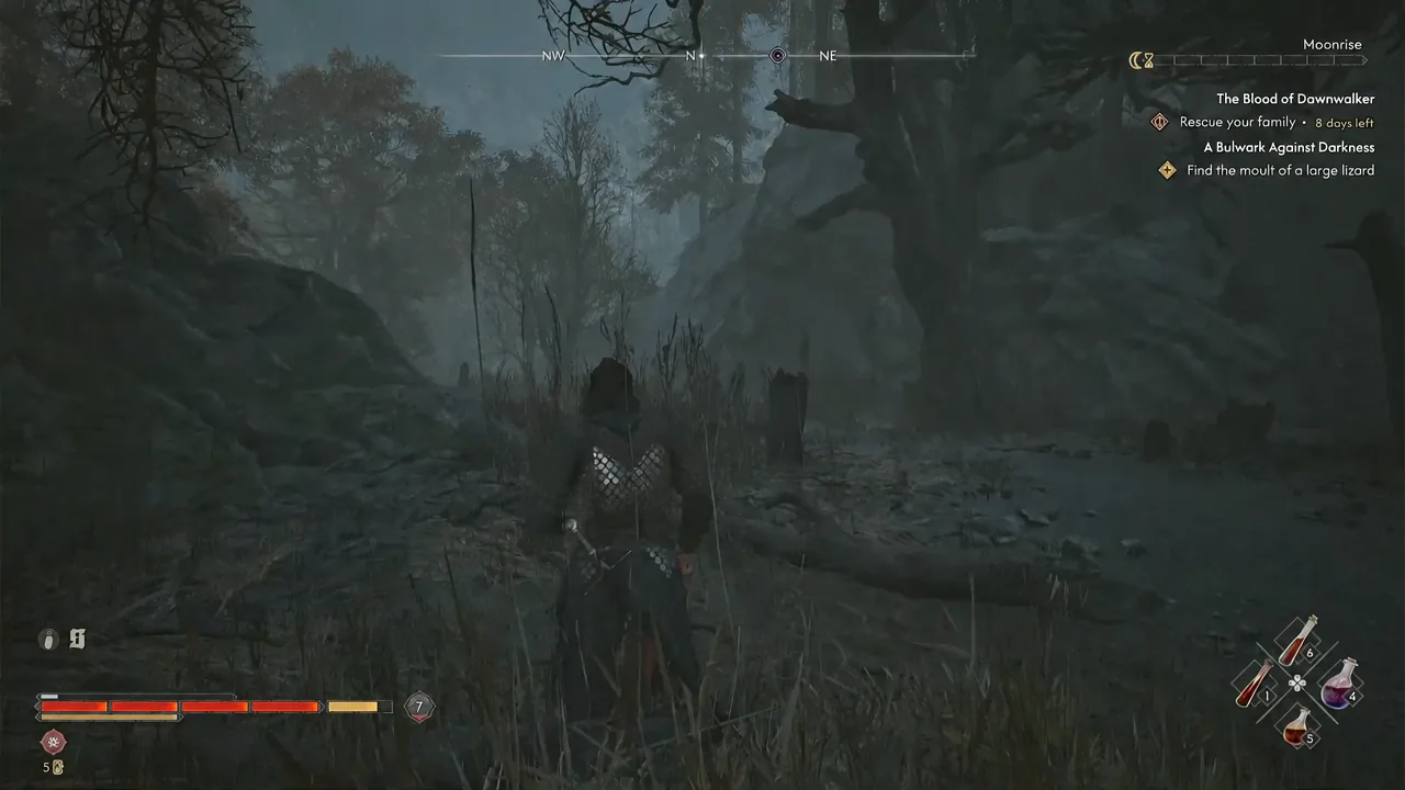 Player character running down a dark, misty forest path toward the cave entrance