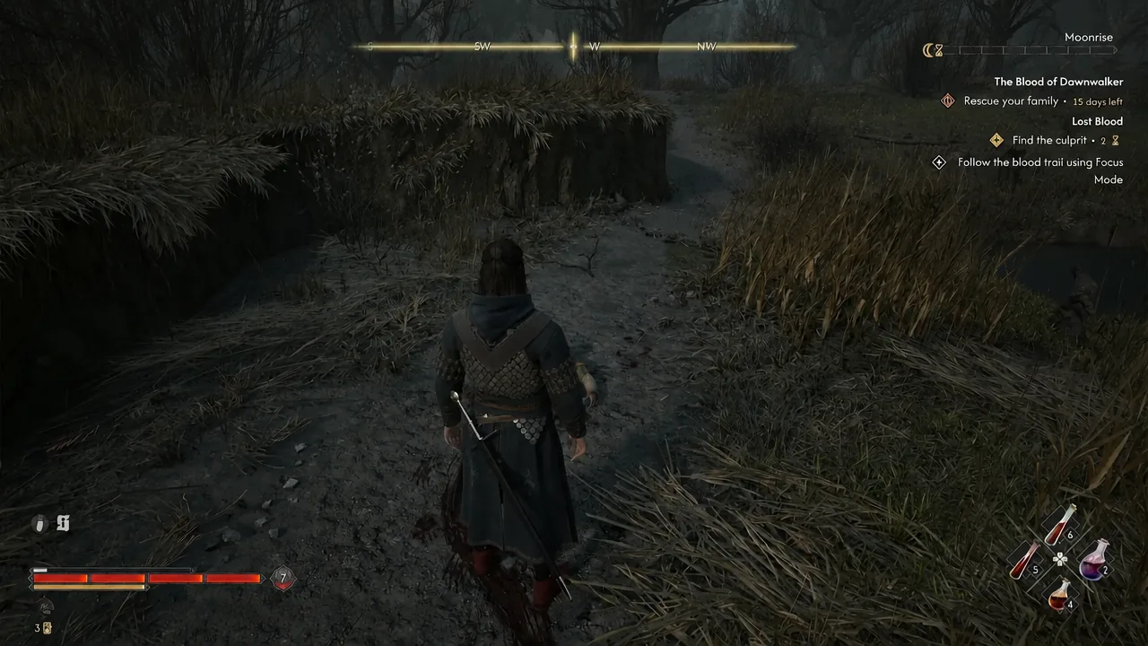 Coen following the highlighted blood trail through the foggy forest in Focus Mode