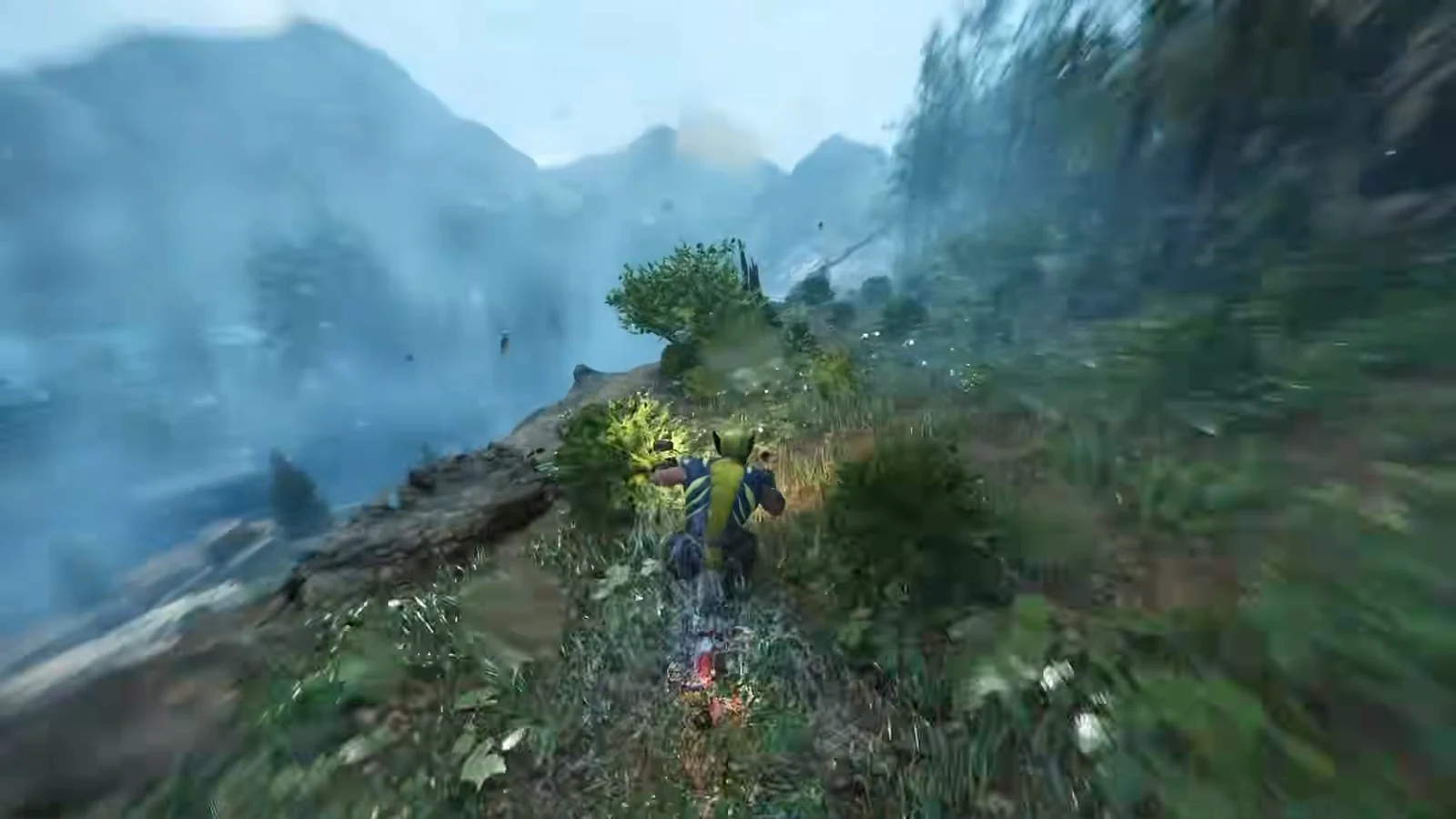 Wolverine riding through a forest track after being forced off the highway