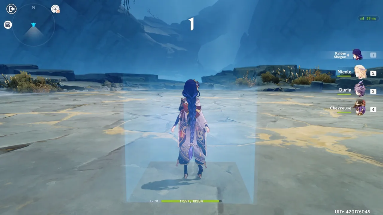 Raiden Shogun facing The Captain with the Q burst button highlighted during a damage test
