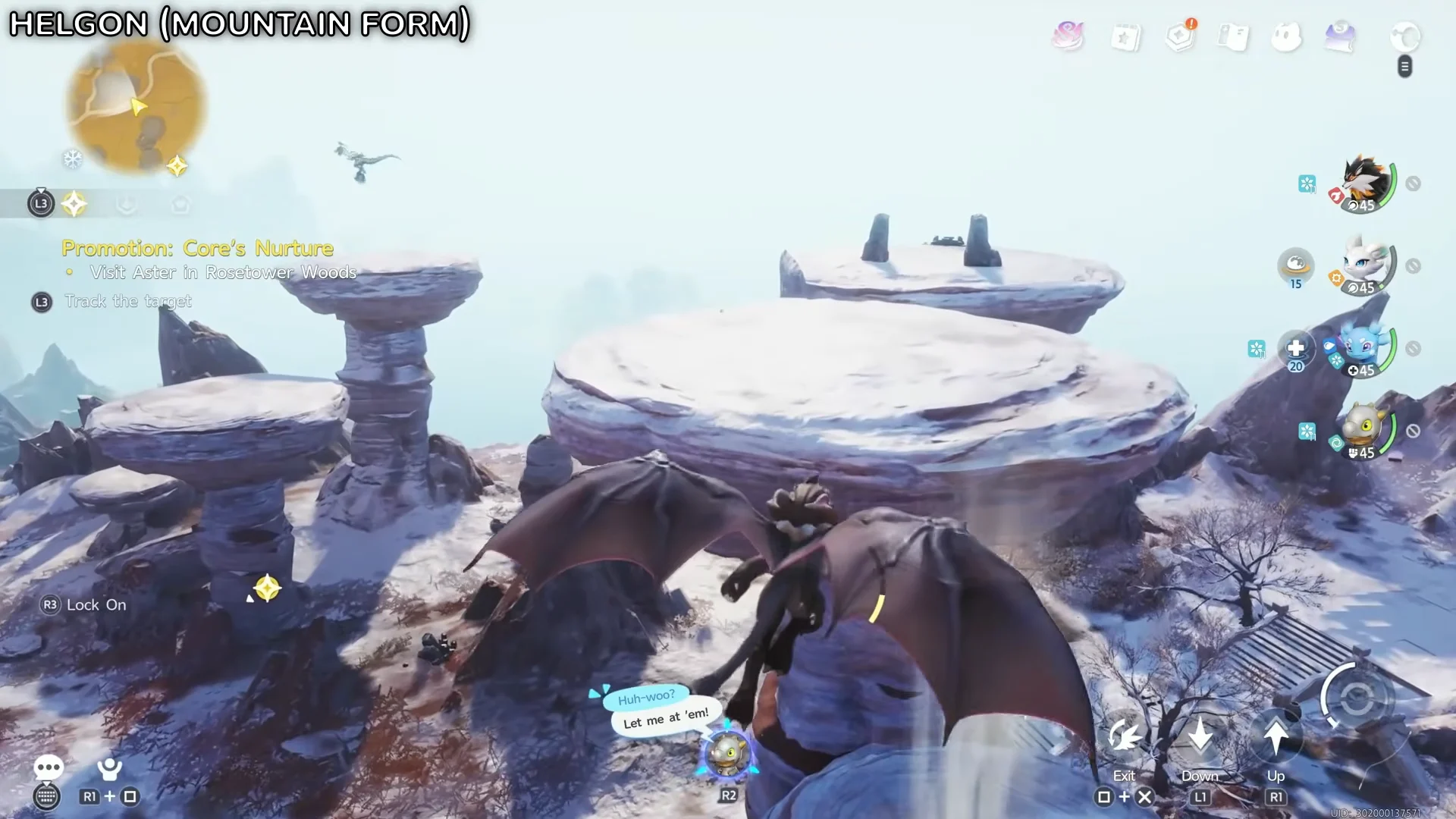 Gliding to Upper Plateau