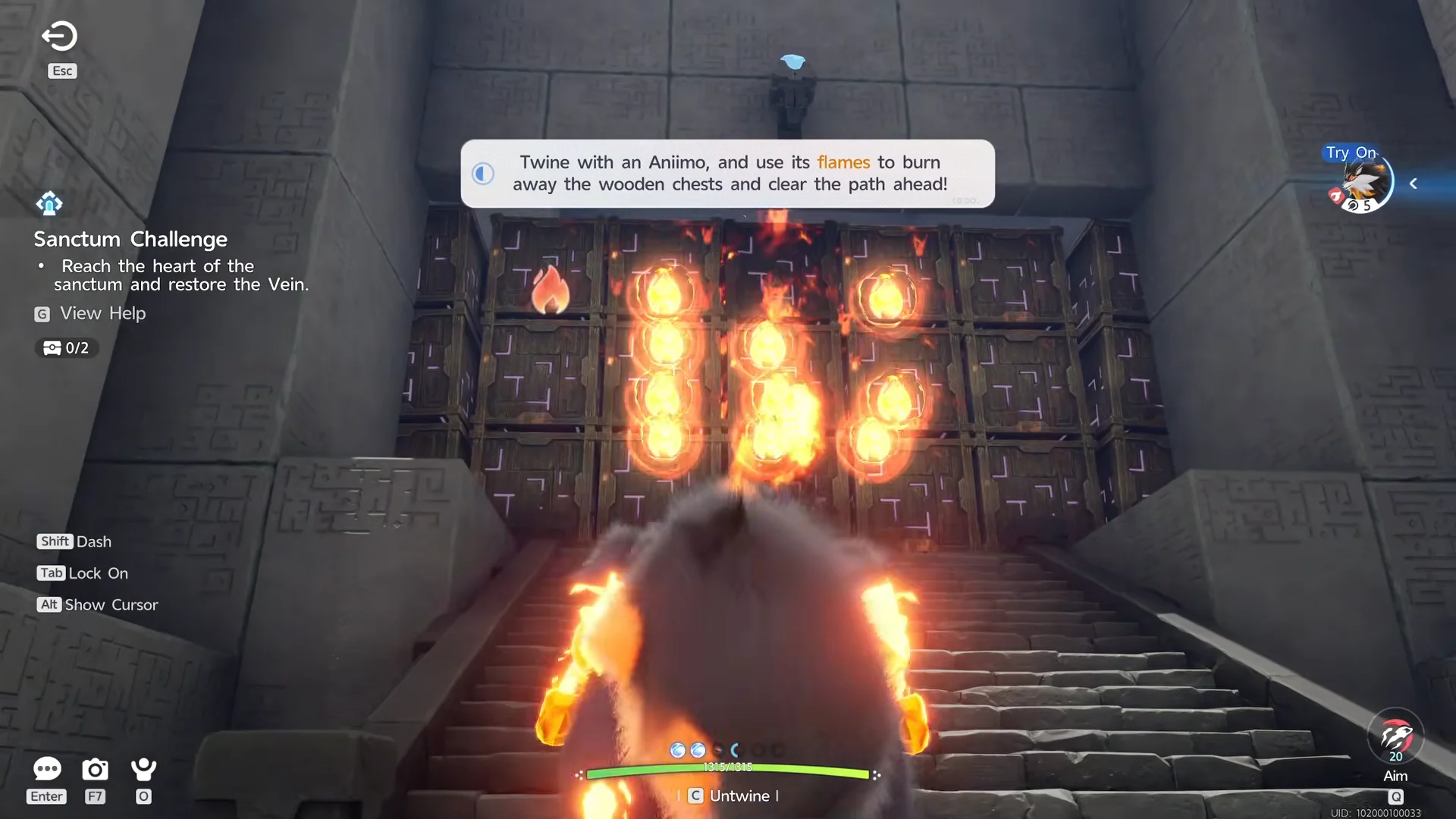 Burning Wooden Wall