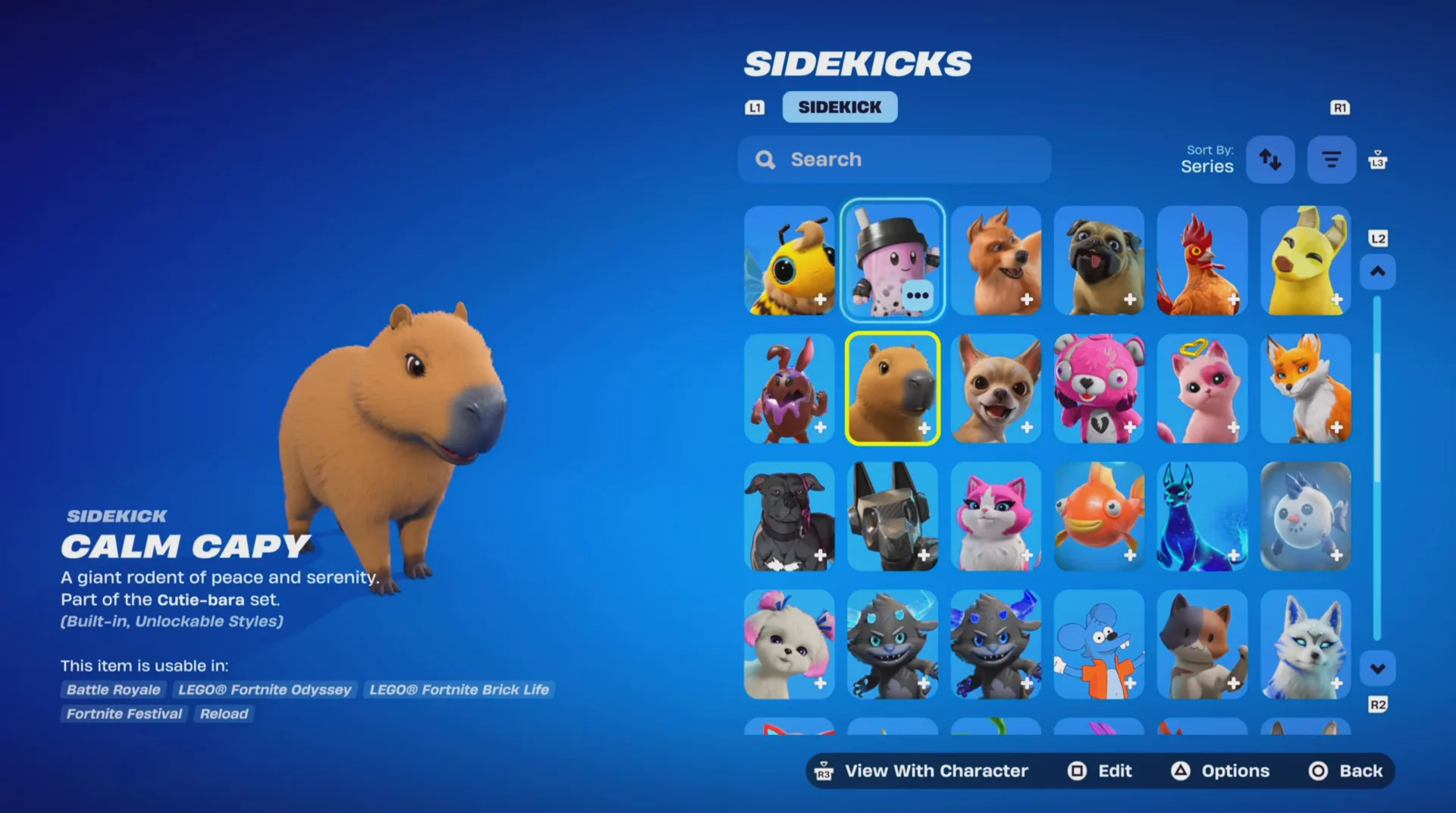 Sidekicks Locker