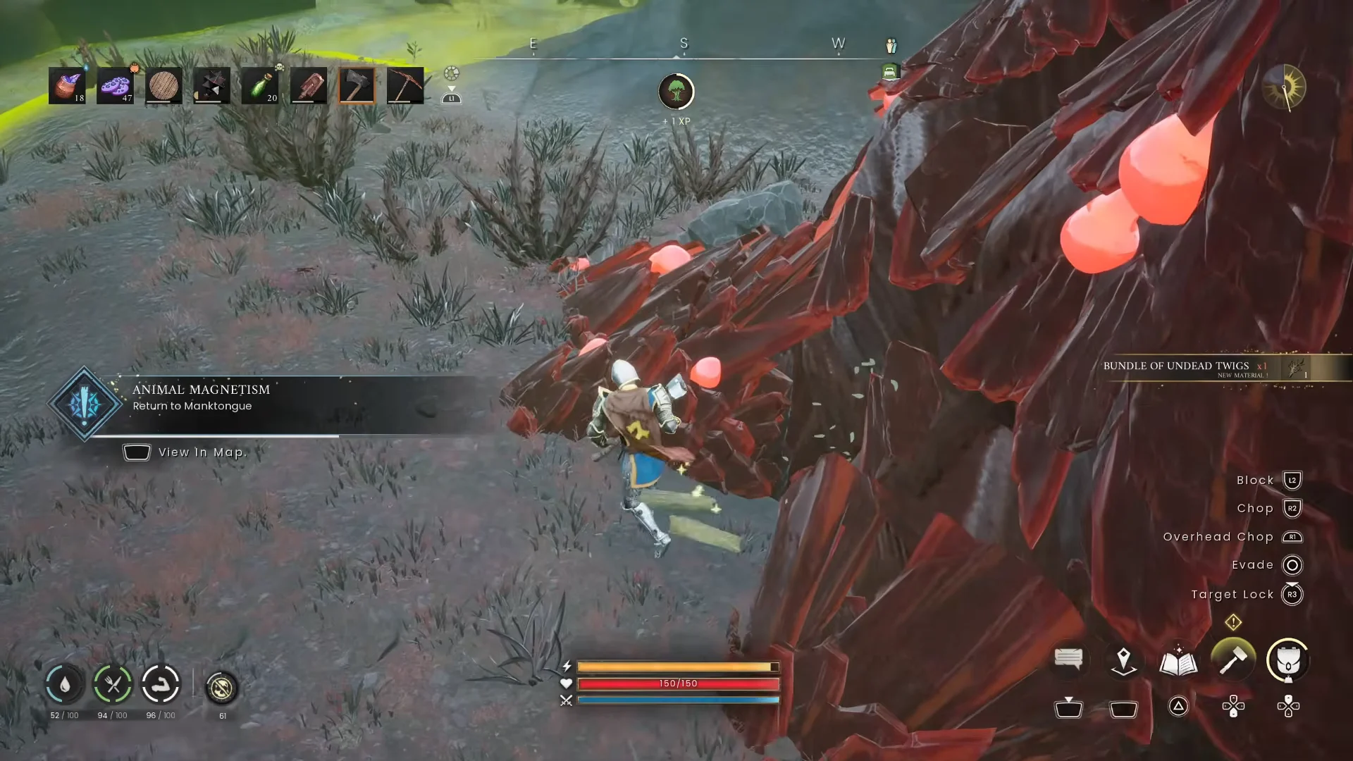 Harvesting Blightwood & Quest Twigs