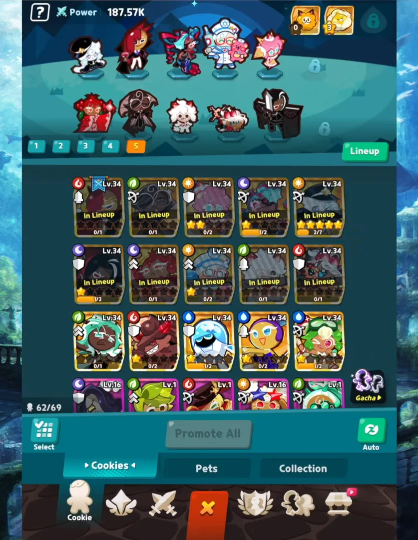 Overview of the winning team