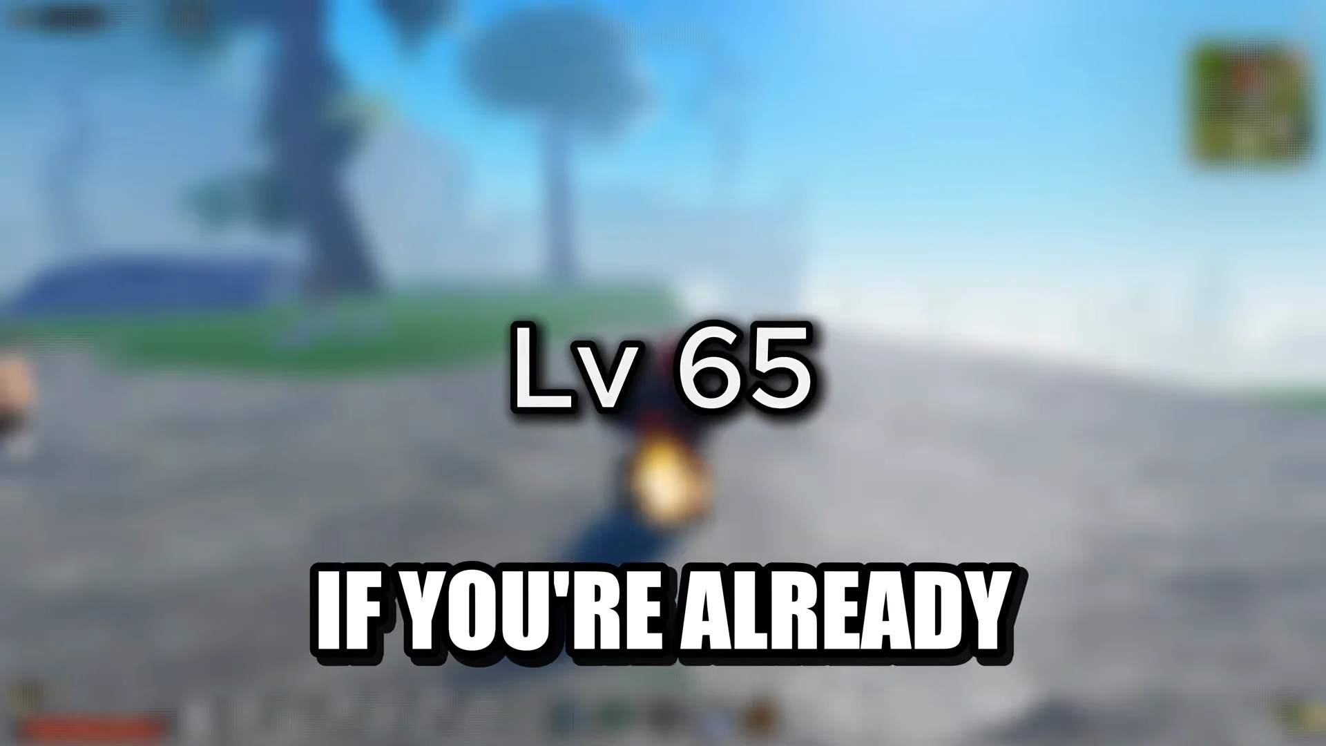 Level Requirement