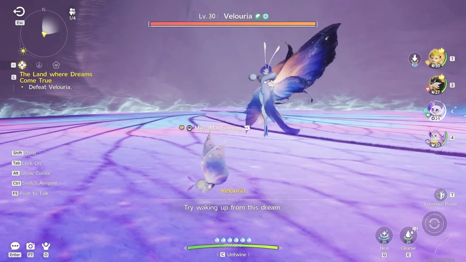 Boss Fight Begins