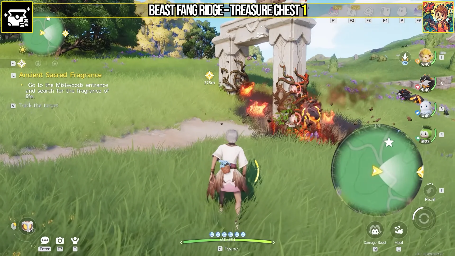Treasure Chest 1