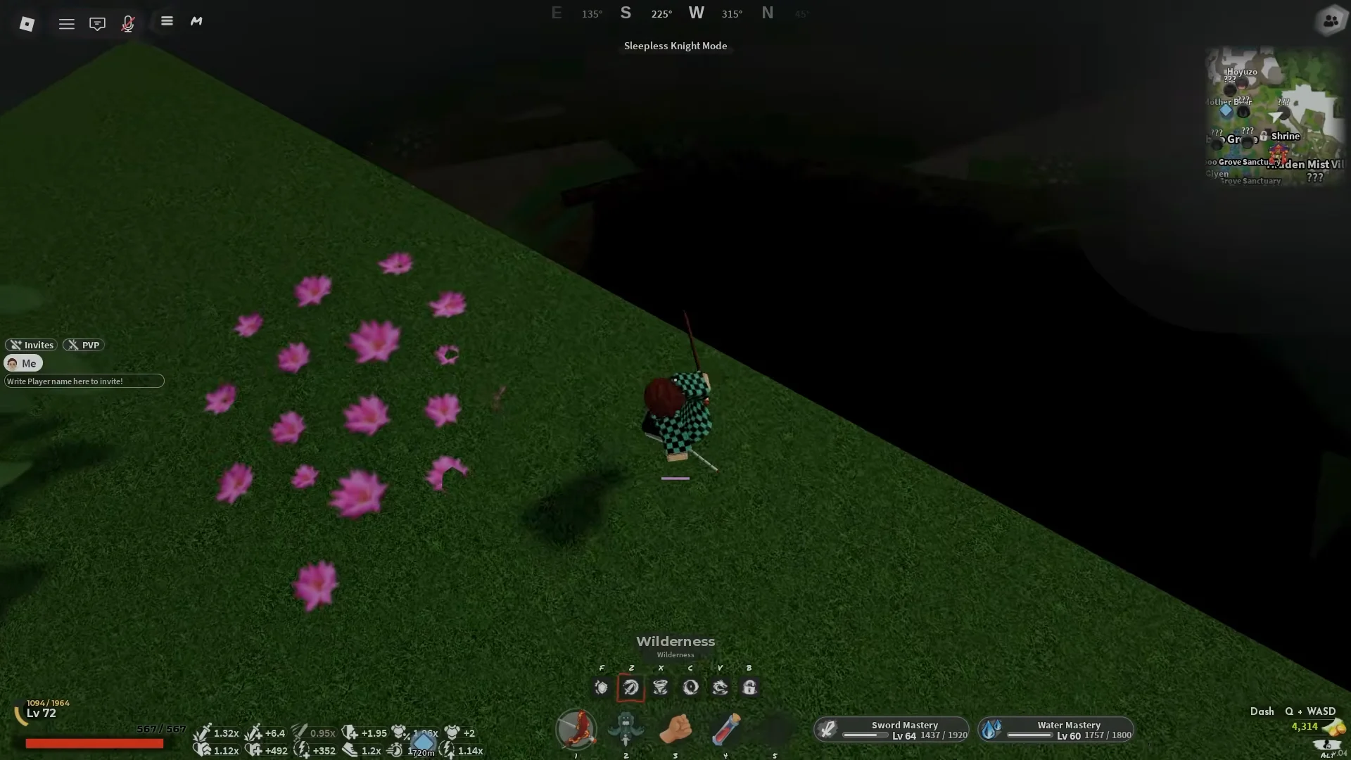 Navigating Wilderness Path