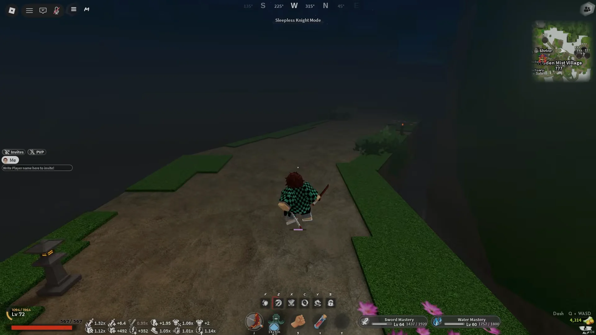 Running Towards Stone Sanctuary